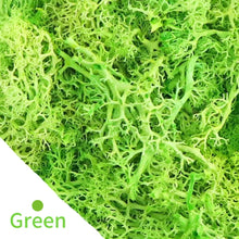 Load image into Gallery viewer, Artificial Coloured Moss - Various Colours and sizes
