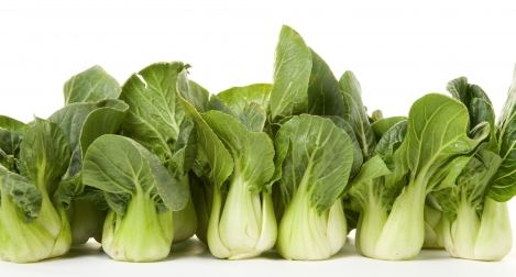 PAK CHOI GREEN