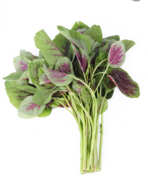 AMARANTHUS EDIBLE GREEN LEAF