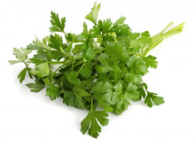 Load image into Gallery viewer, PARSLEY - ITALIAN
