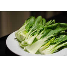 Load image into Gallery viewer, Pak Choi White- 8 Cell
