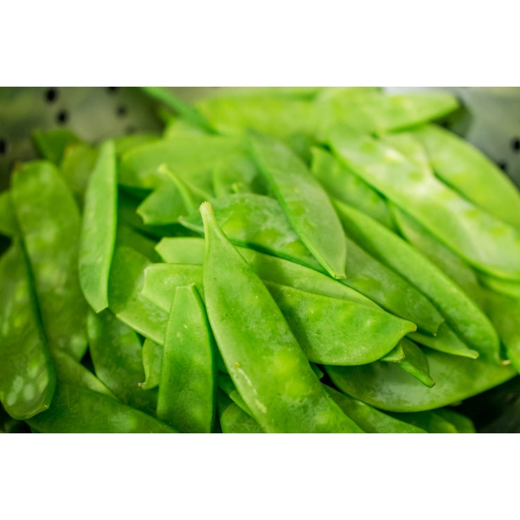 Snow Pea- 8 Cell