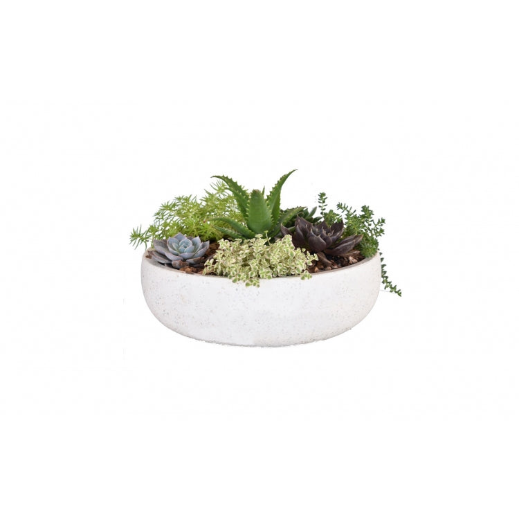 White Bowl Planter - D24 x H8cm