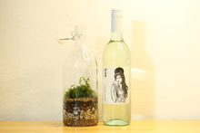 Load image into Gallery viewer, Bottle Terrarium and Wine
