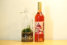 Load image into Gallery viewer, Bottle Terrarium and Wine
