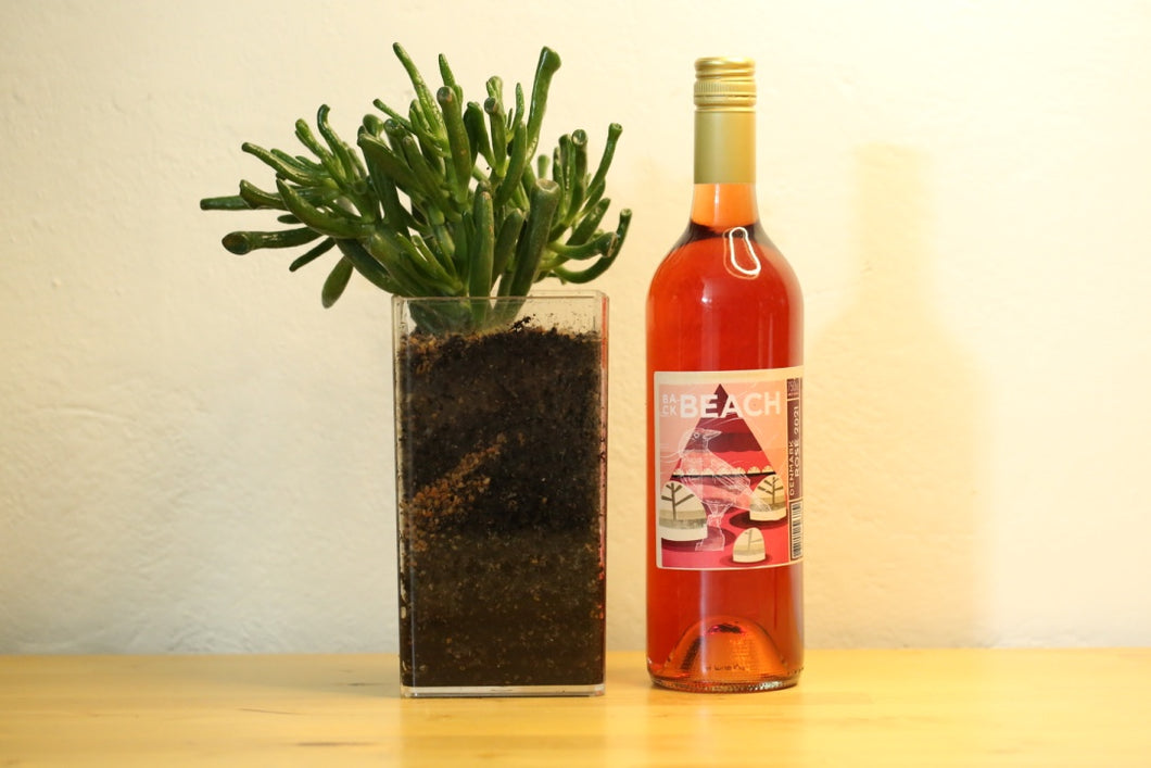 Transparent Potted Succulent and Wine