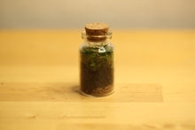 Load image into Gallery viewer, Mini - Bottle Terrarium
