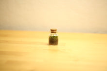 Load image into Gallery viewer, Mini - Bottle Terrarium
