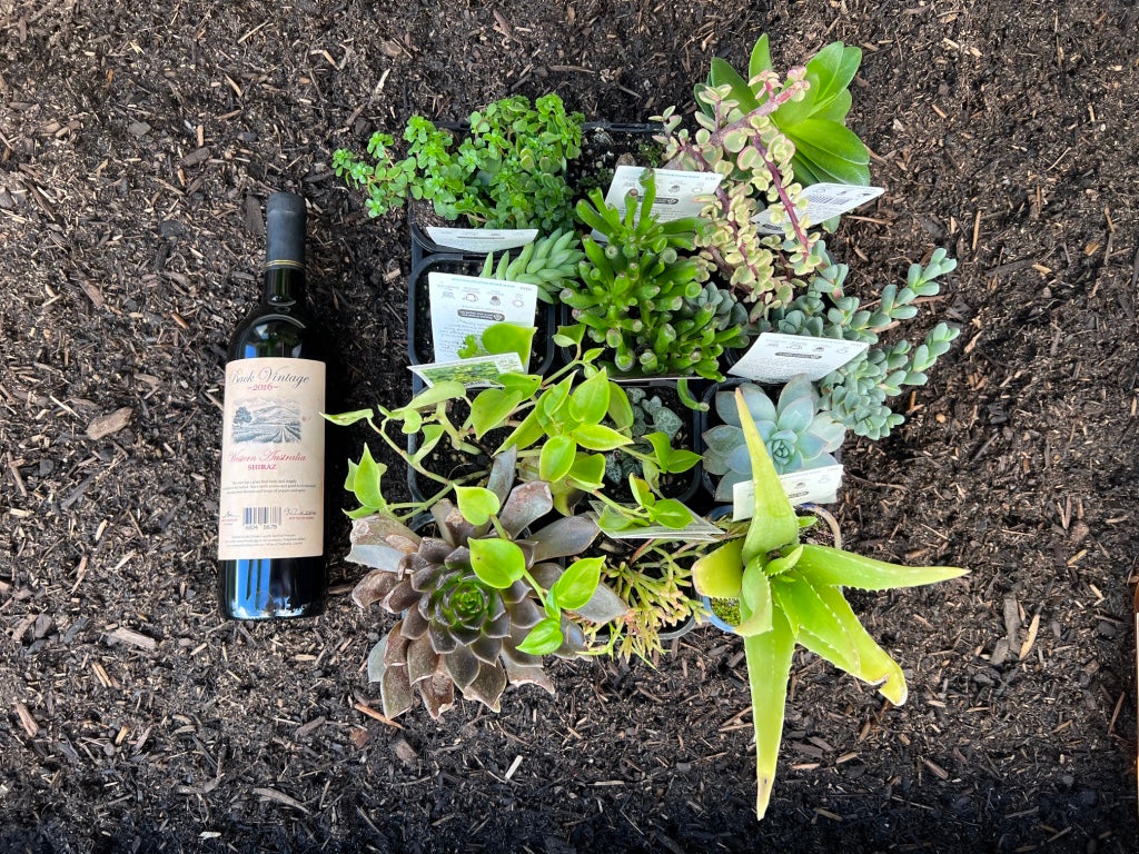 12 Succulents paired with a bottle of WA Wine