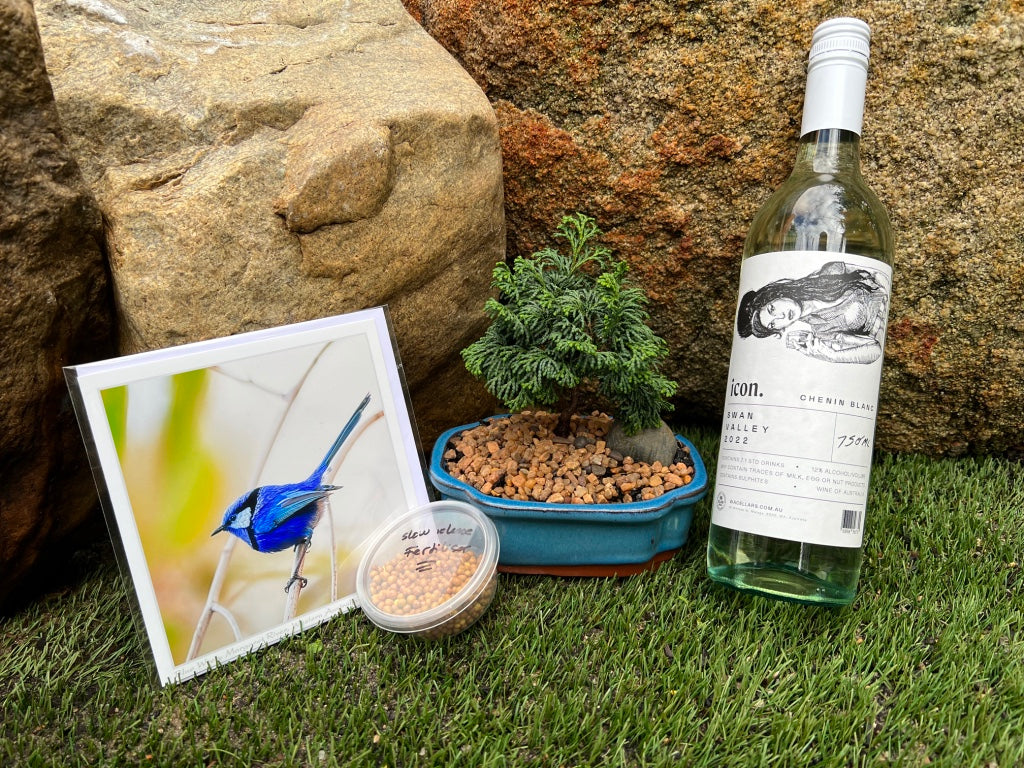 Mini Bonsai and Wine Package