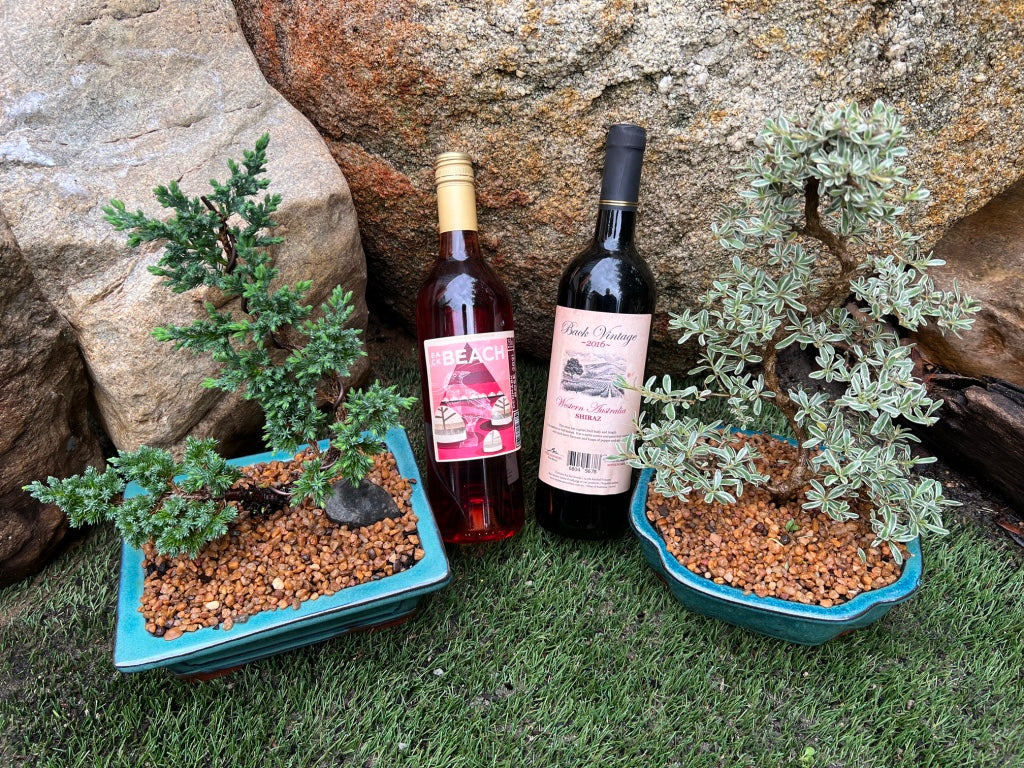 Couples pack - Double Bonsai and Double Wine Package