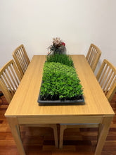 Load image into Gallery viewer, Microgreens Extra Large Tray - 3 Type&#39;s of greens
