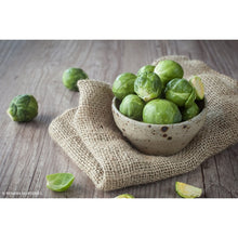 Load image into Gallery viewer, Brussel Sprouts - 8 Cell
